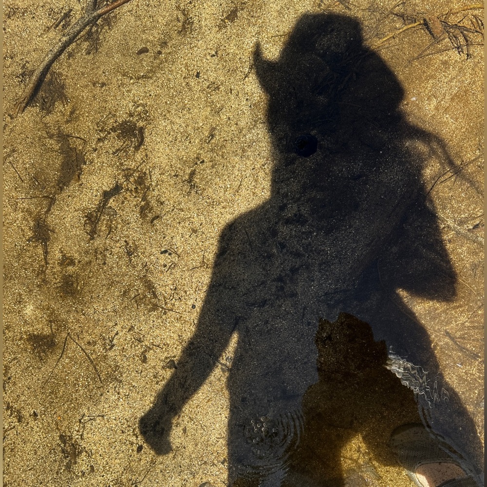 Meet your Posher, Mothershiptonya